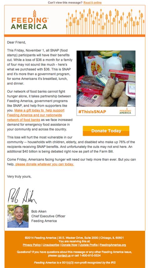 fundraising newsletter ideas